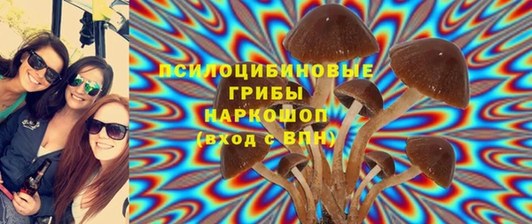 бошки Аркадак