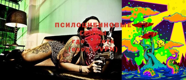 бошки Аркадак