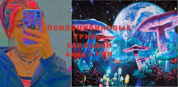 бошки Аркадак