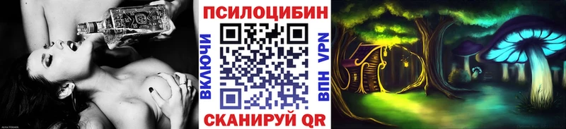 магазин    Уржум  Псилоцибиновые грибы Cubensis 